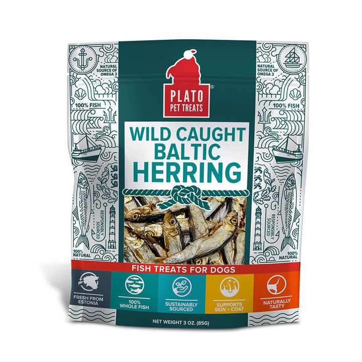 Baltic Herring