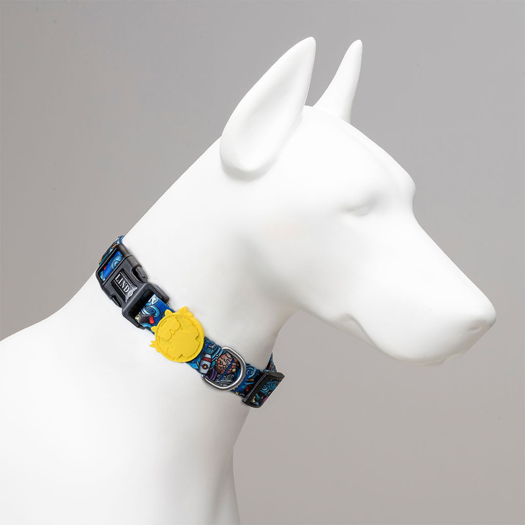 Collar Apollo